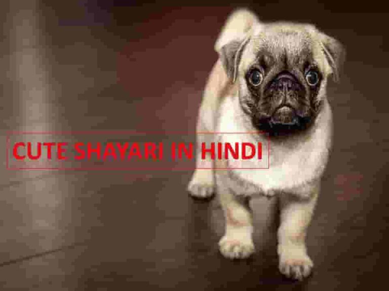 Cute Shayari Hindi || Cute Shayari in Hindi